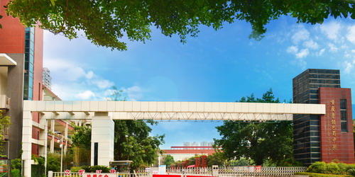 重庆市各区县最好高中,重庆最顶级的高中学校