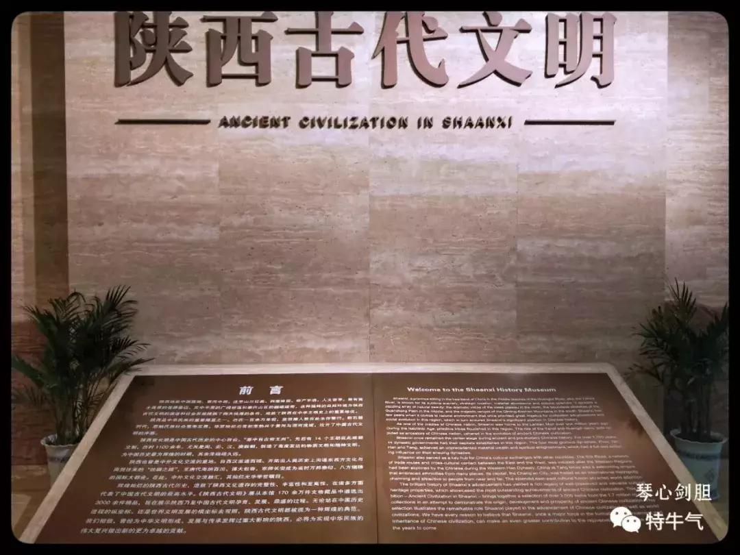 赤金走龙陕西历史博物馆,陕西历史博物馆抢票攻略