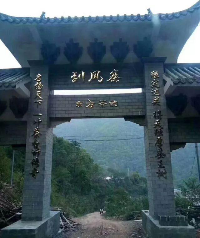 十大名寨普洱茶排名,十大普洱茶排行榜最新