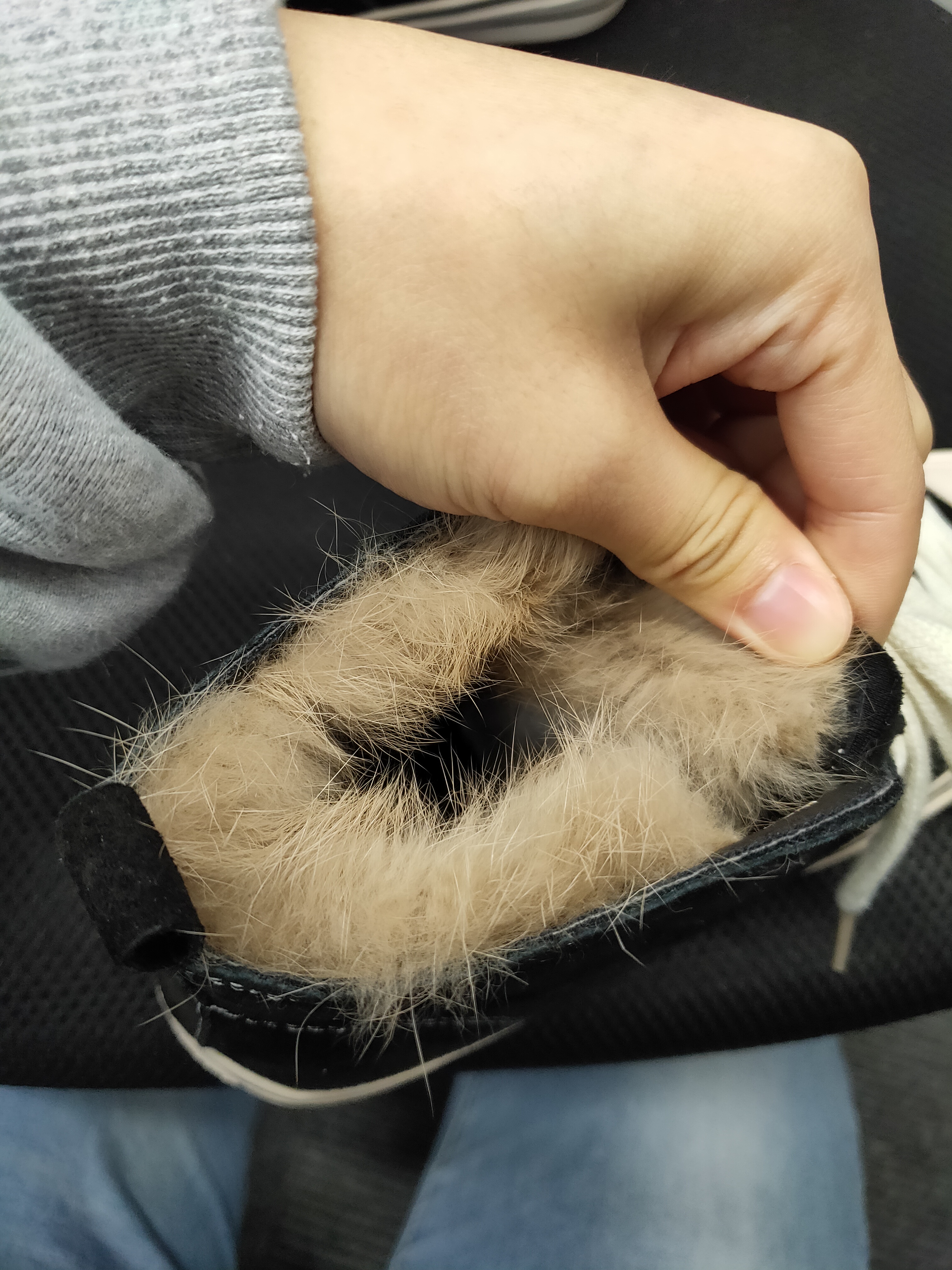 保暖舒适的平底鞋,软底软面舒适的平底鞋