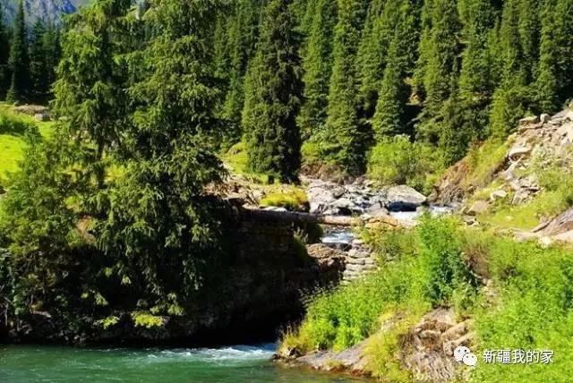 *疆新**著名“车师古道”这次彻底惊艳了众人！大批人马即将涌入！