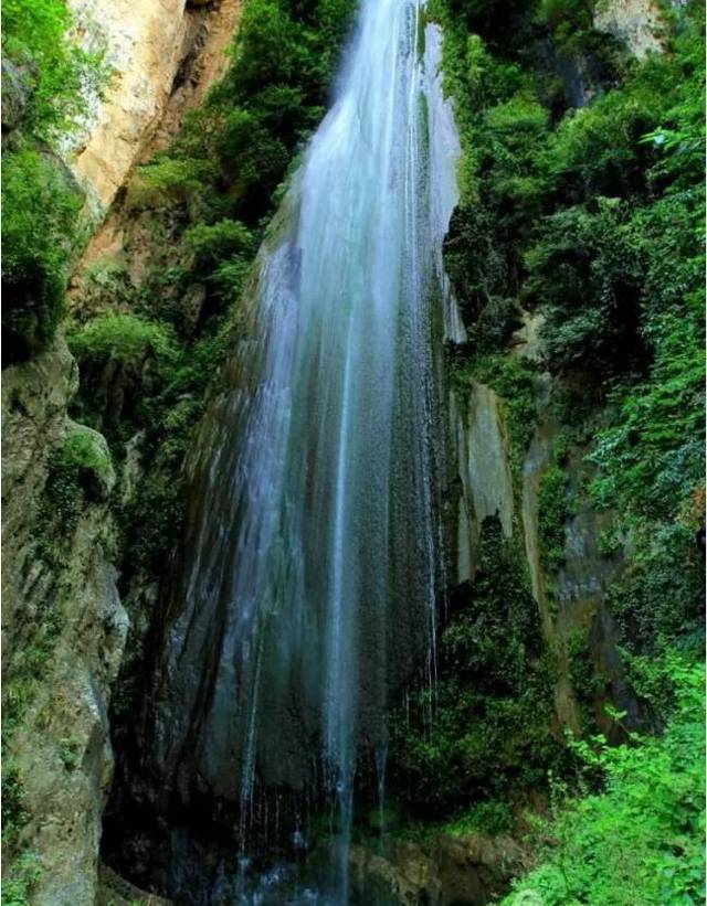 东川石将军自驾游,云南东川石将军罗汉松