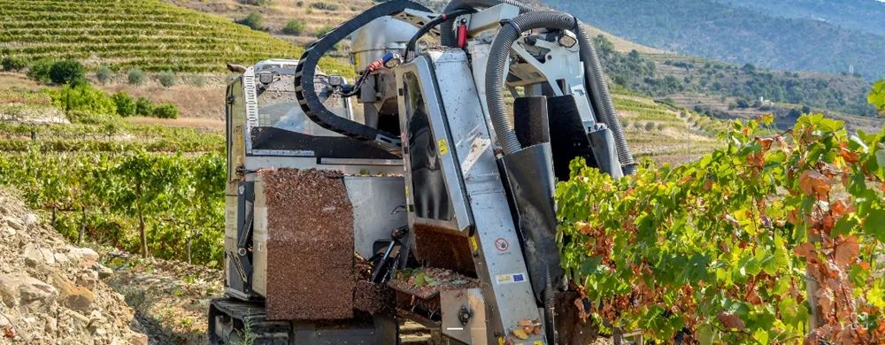 自己酿造葡萄酒的做法,探秘德国葡萄酒庄