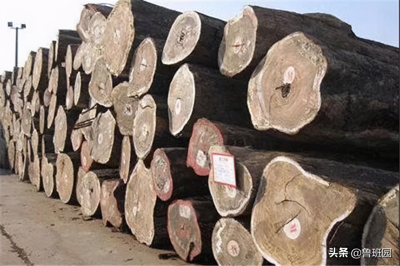 用溴甲烷熏蒸地多长时间效果最佳,溴甲烷熏蒸什么时候取消