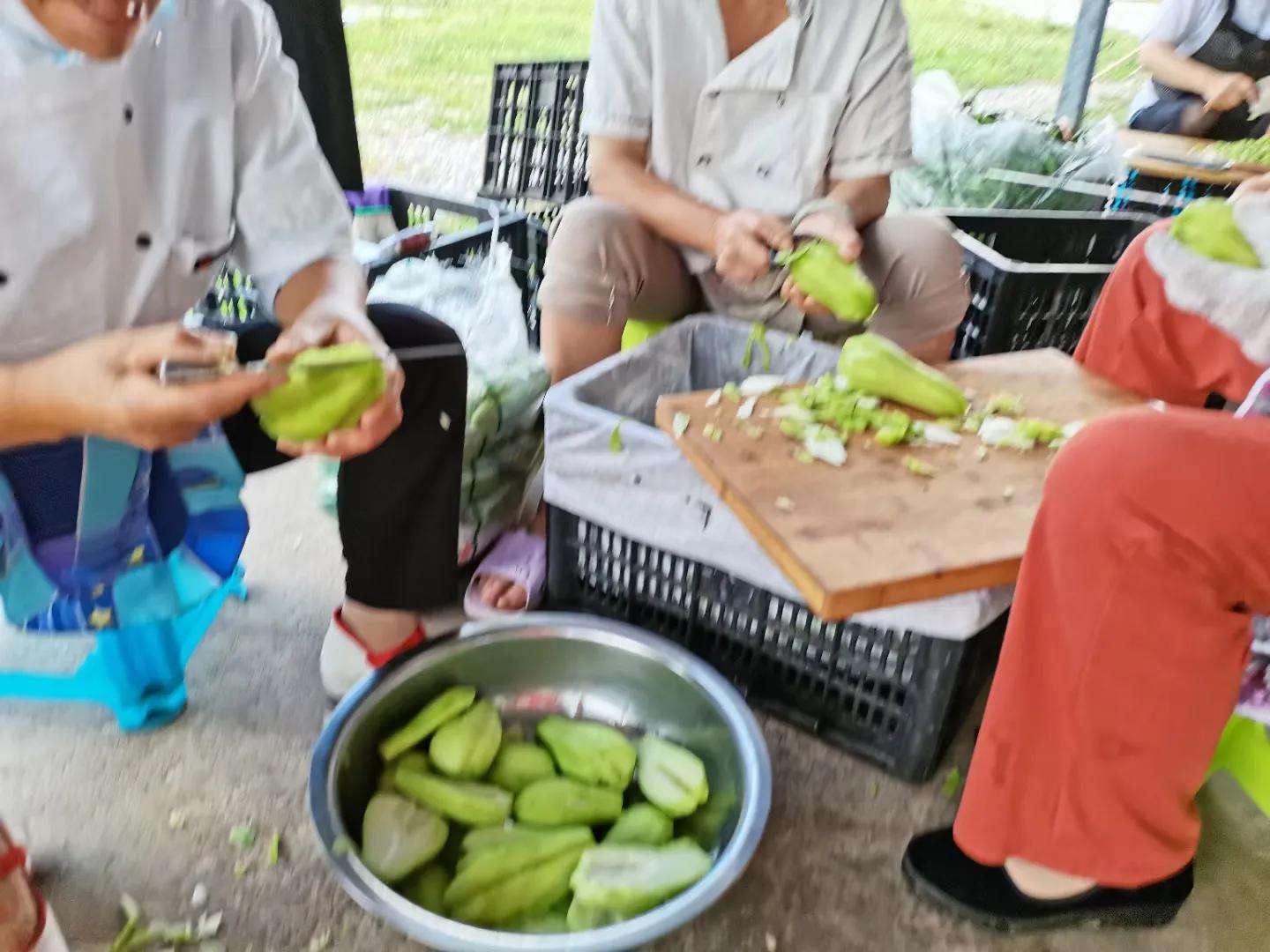 纯真年代（15）贵州安顺佛手玉润念佛手瓜