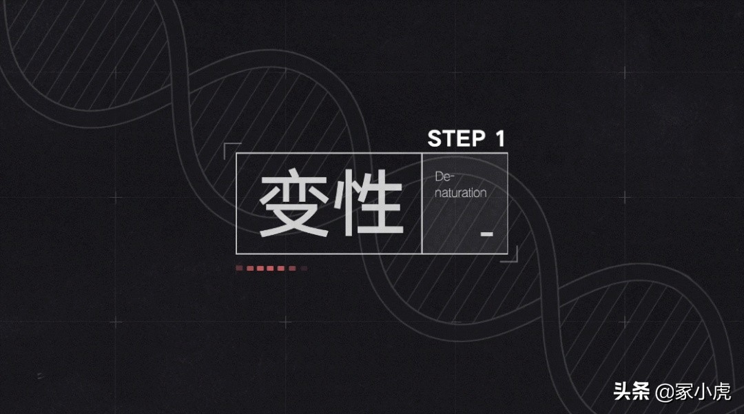 外周血能确定亲子鉴定准确性吗,亲子鉴定99%能确定吗