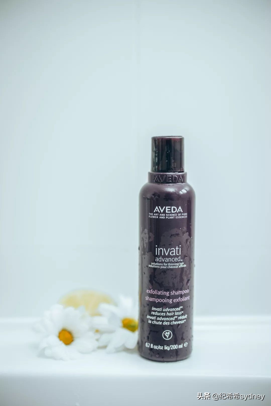 本周爆款好物分享,本周好物最新爆款