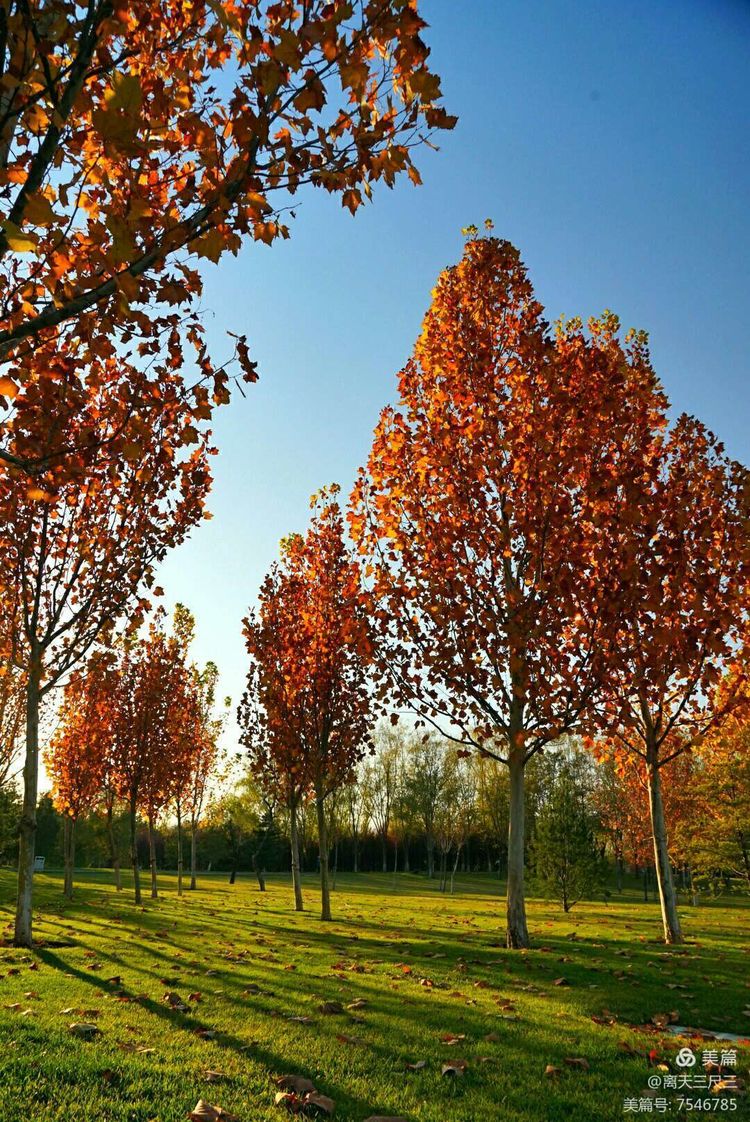 玉泉山北坞公园介绍,北坞村玉泉山