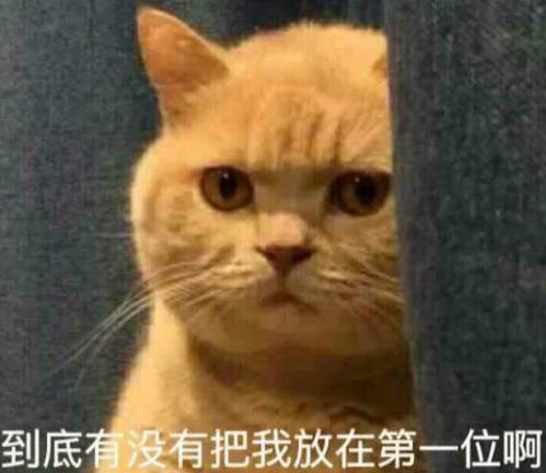 宠物饮水机“漏电”化身杨永信!你还敢让猫咪用它喝水吗?