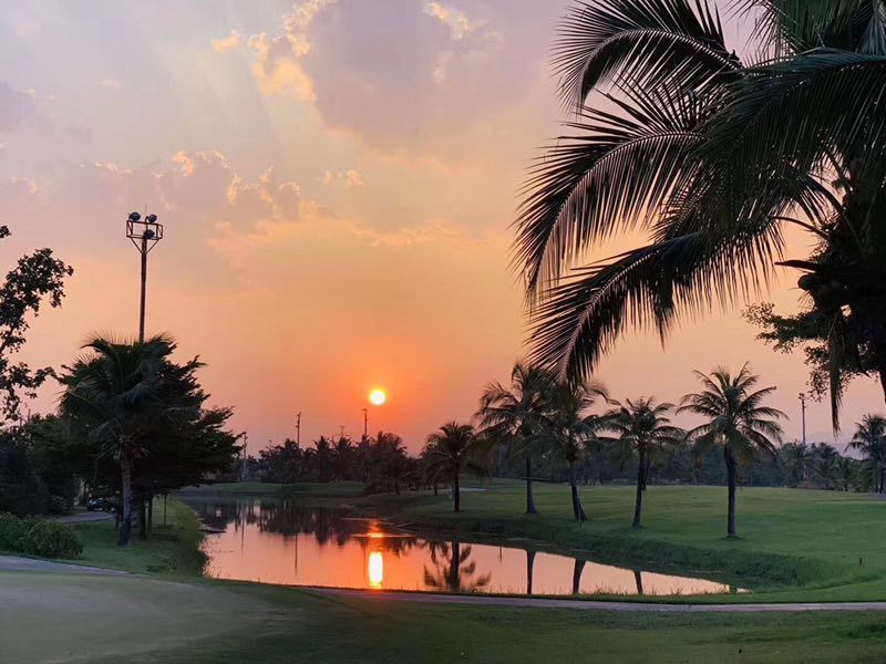 泰国清迈特产水果,泰国清迈的玫瑰