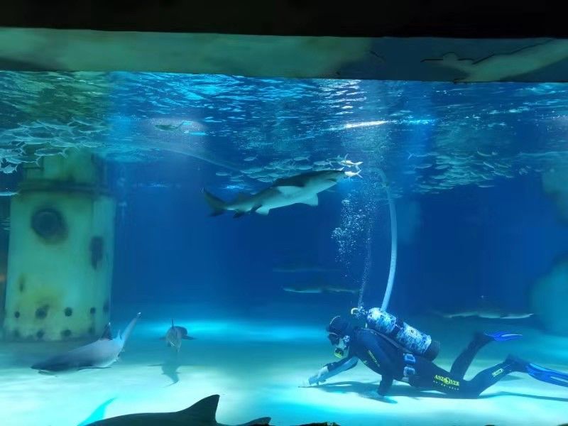 南京海底世界小朋友要票吗,南京海底世界99元一大一小套票