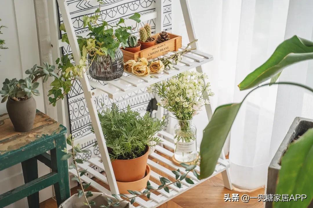 春天花会开|这20家植物淘宝店，植物杀手看了也想买！