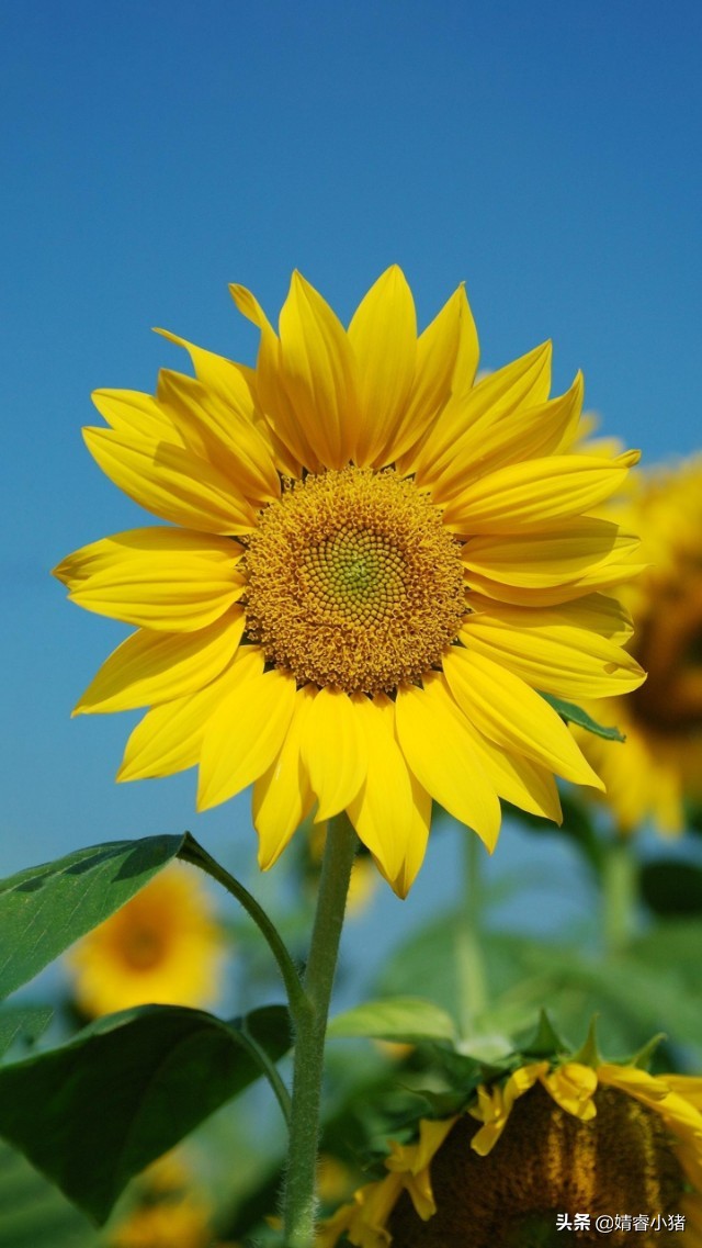 任何事不要轻易评判,任何事情不要太奢望