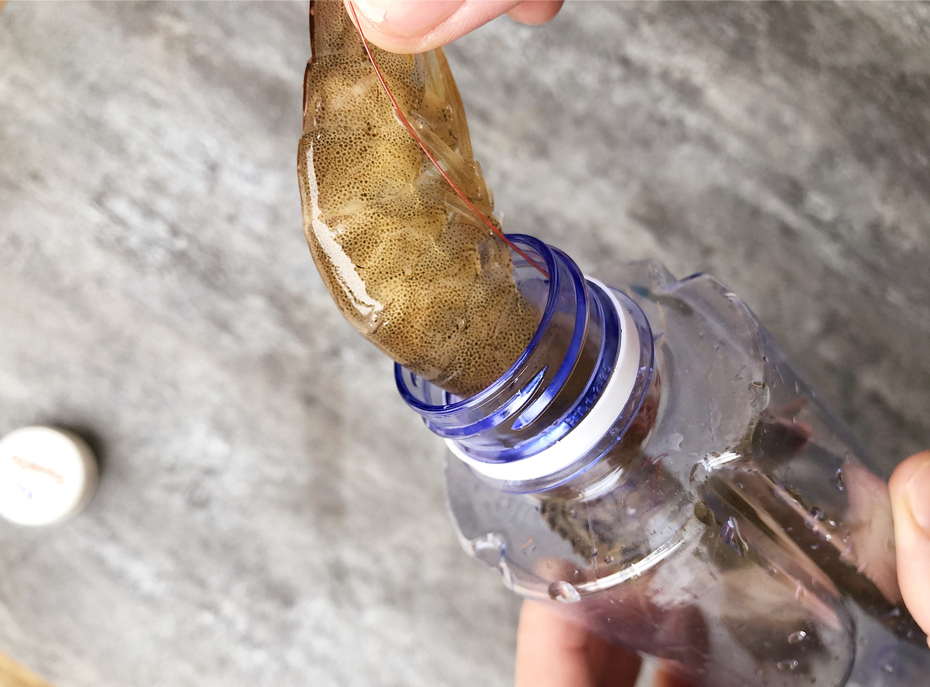 大虾放冰箱冷冻保存方法,大虾怎么保存放在冷藏还是冷冻