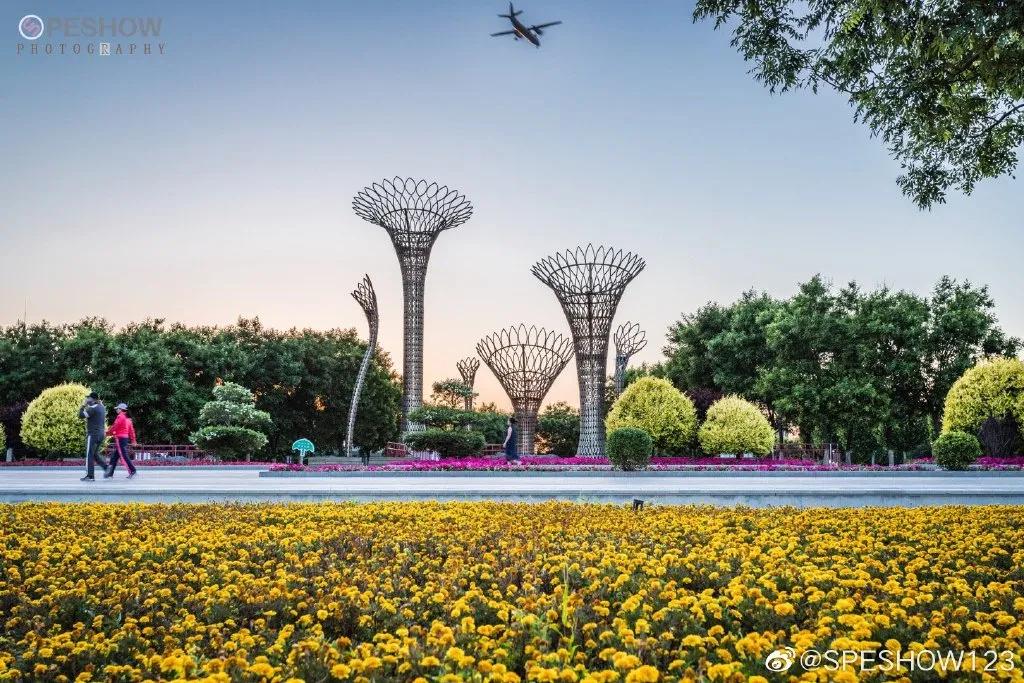 今年武清区有什么大发展,关于天津武清区发展报告