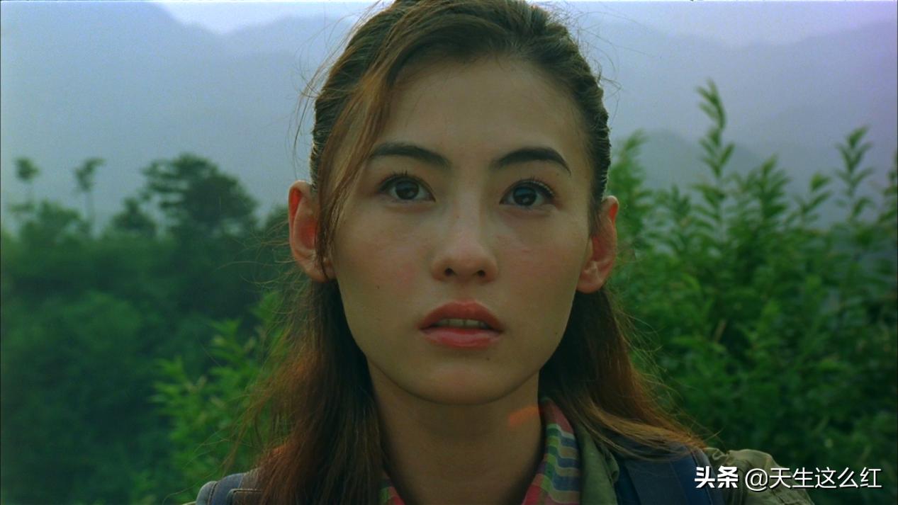 锋菲恋和锋芝恋真实情况,回顾张柏芝和谢霆锋的爱恨情仇