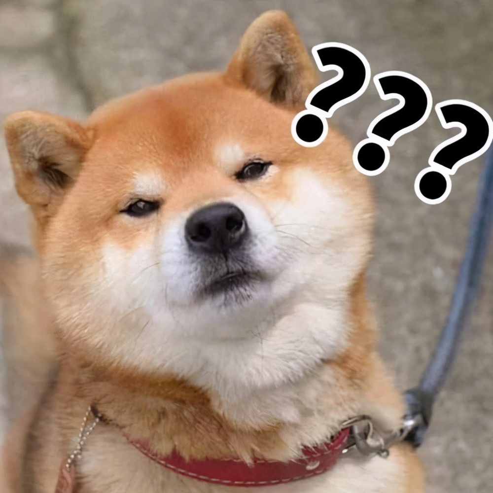 两个月狗狗眼屎多用什么药,狗狗眼屎多什么原因导致的