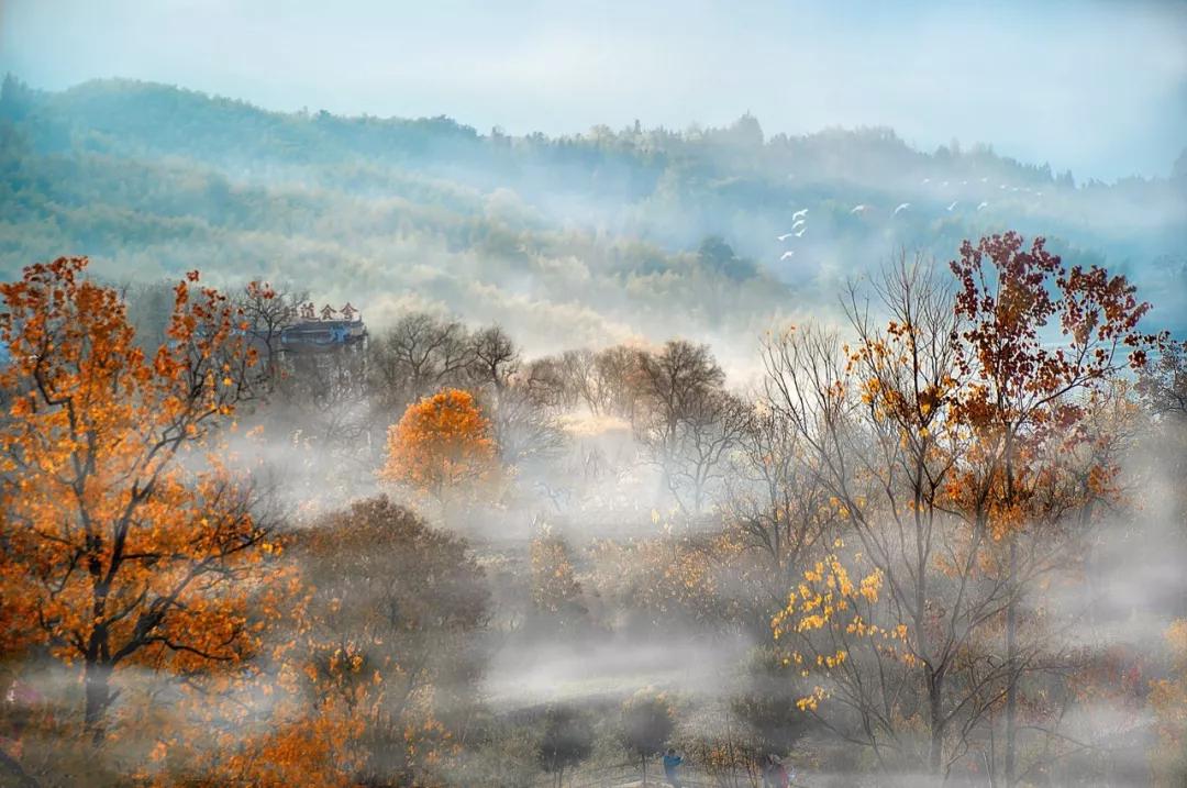 袅袅炊烟的诗句有哪些,王菲炊烟袅袅诗情画意