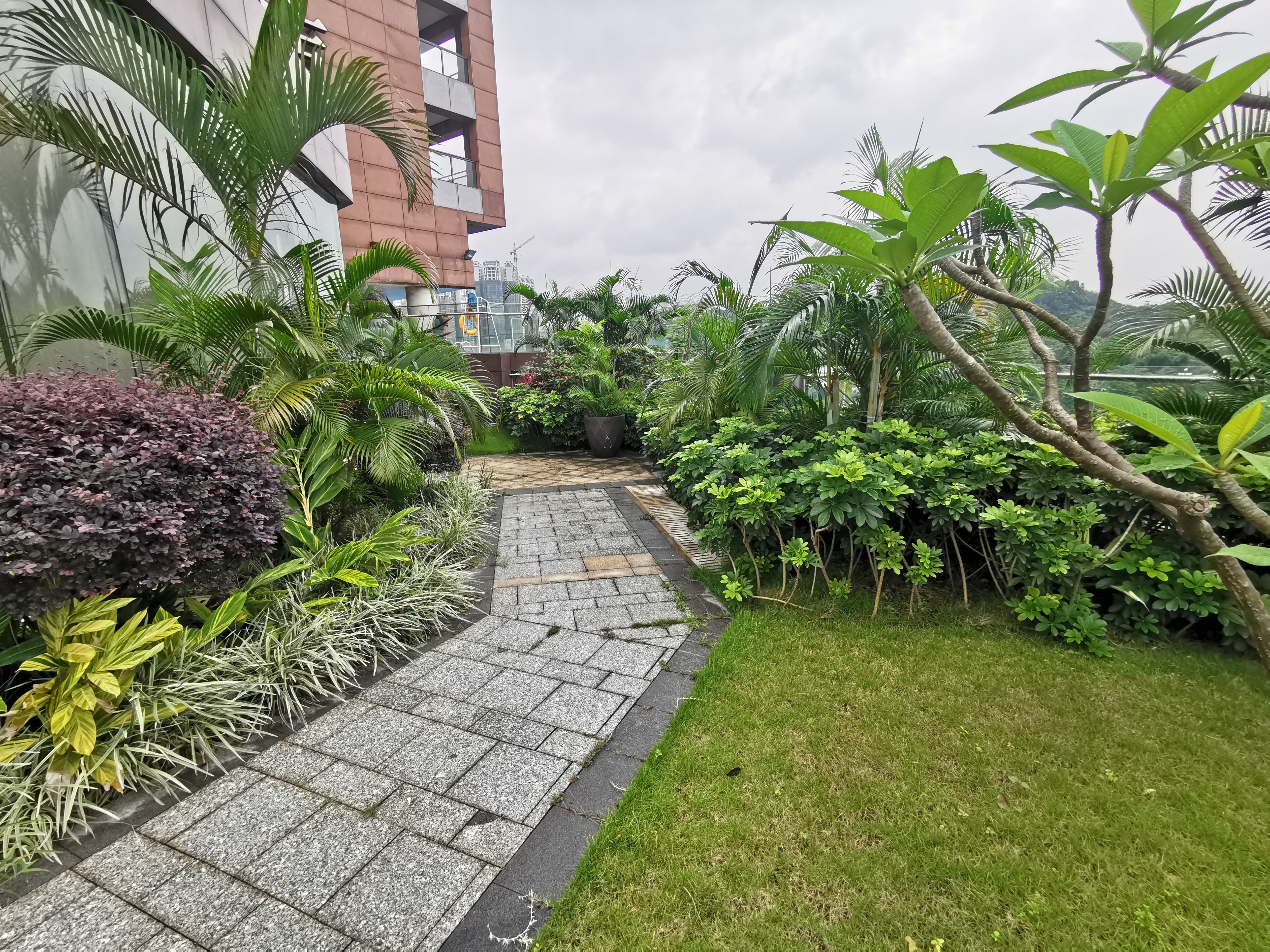 广州汇华希尔顿逸林酒店月饼,广州汇华希尔顿逸林酒店自助餐厅