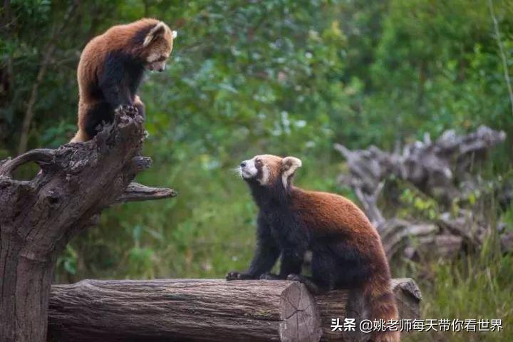 2月旅游灵感,旅游2月攻略最佳自由行