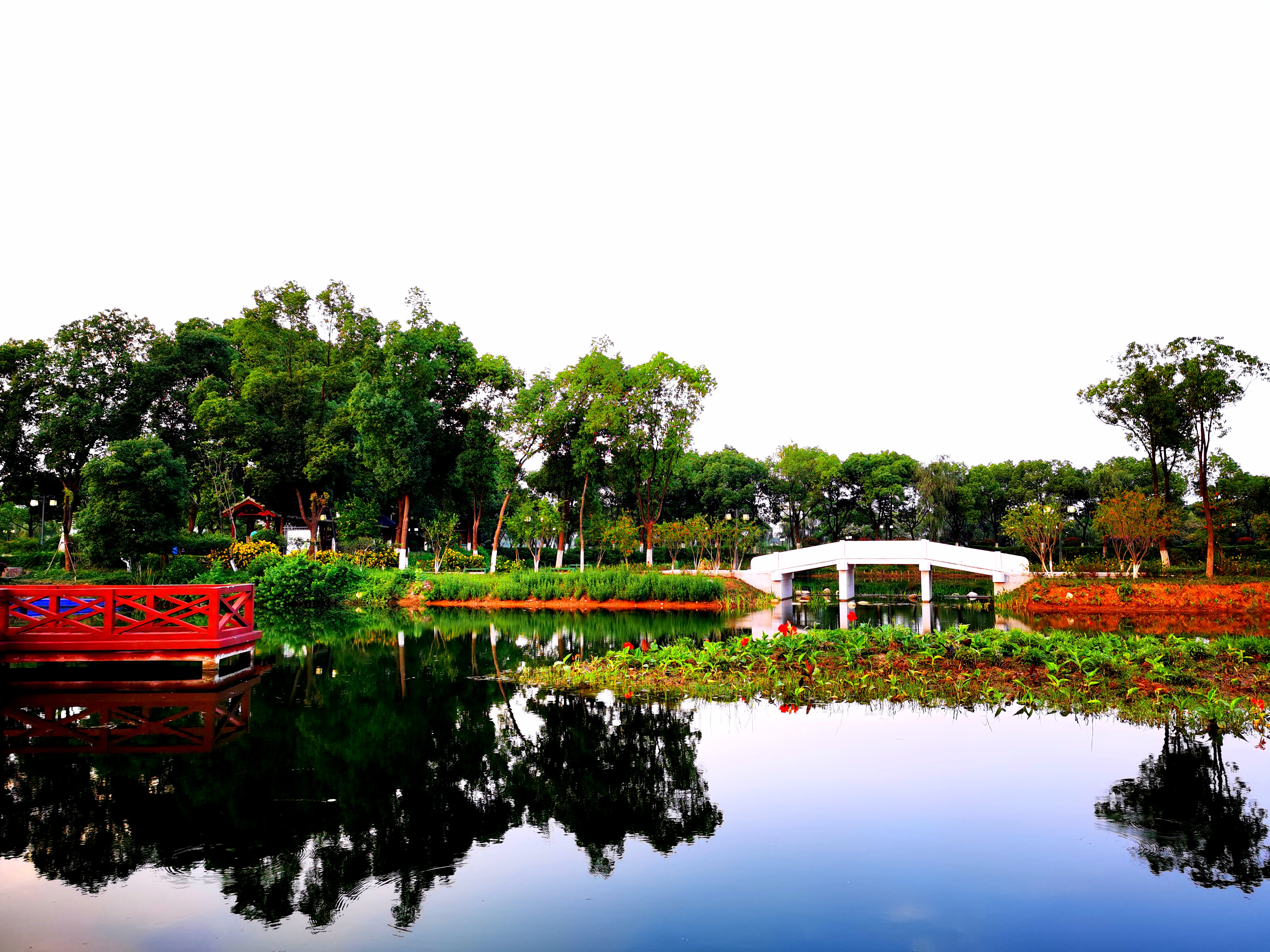 沉睡的历史与惊艳的现实——走读东西湖