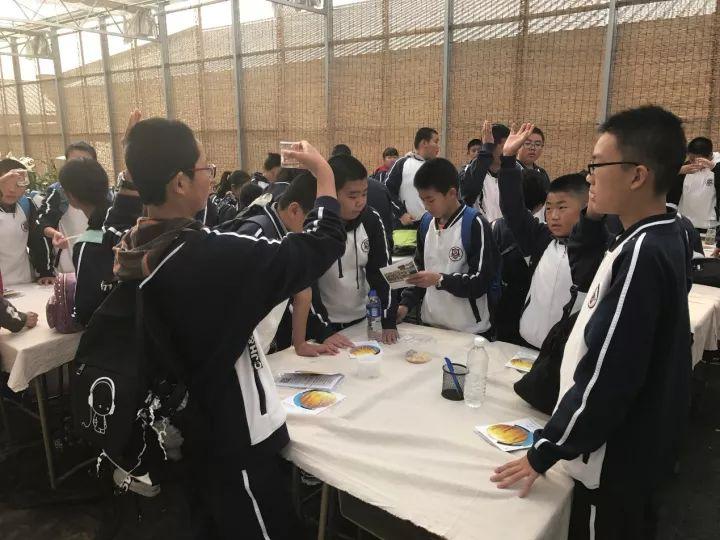 乡村旅游适合儿童玩的娱乐项目,亲子农旅特色项目