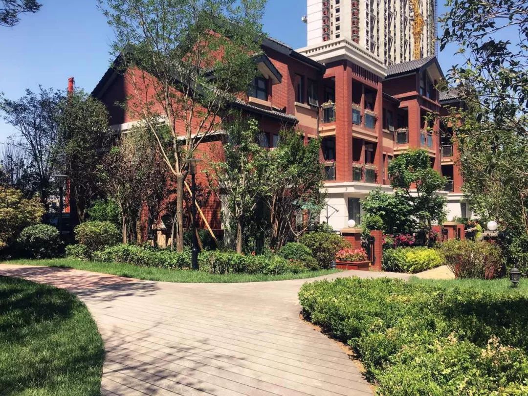 小院生活烟火气息北京,小院生活静谧而惬意