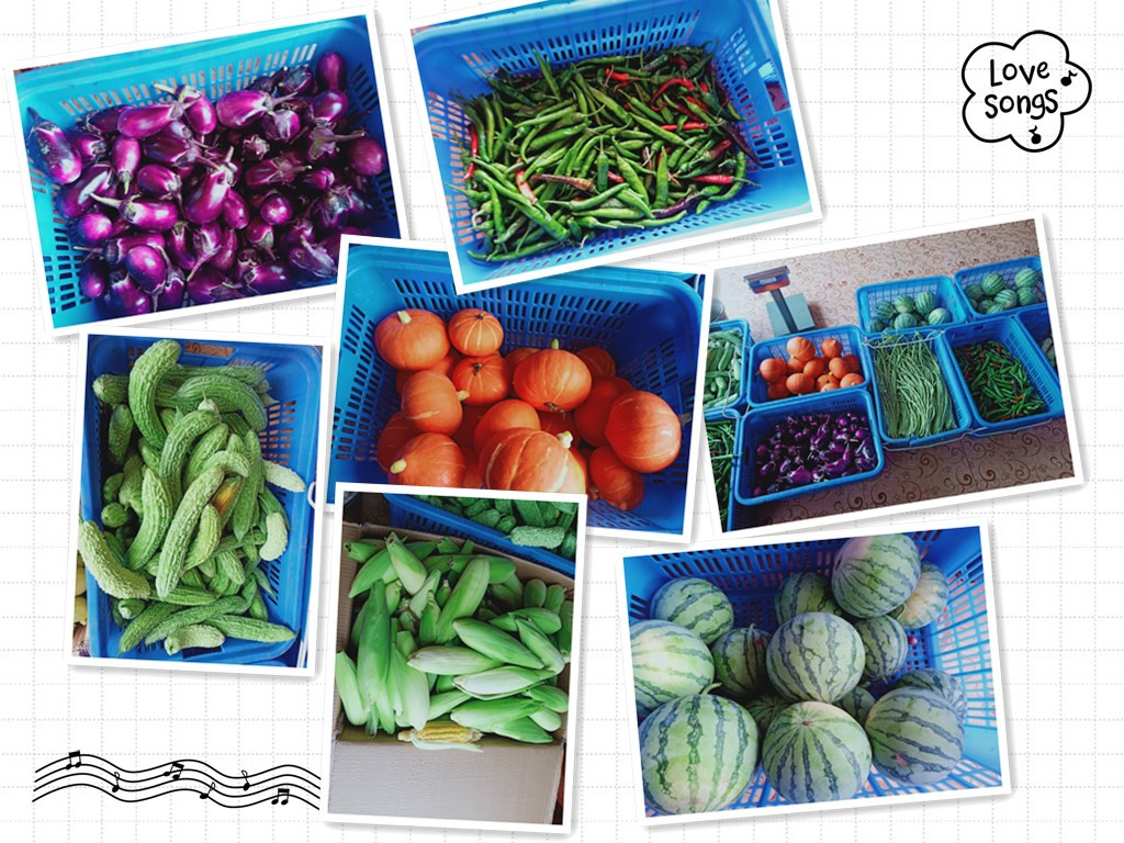 长沙一日游农家乐,长沙开福区团建农家乐场地推荐