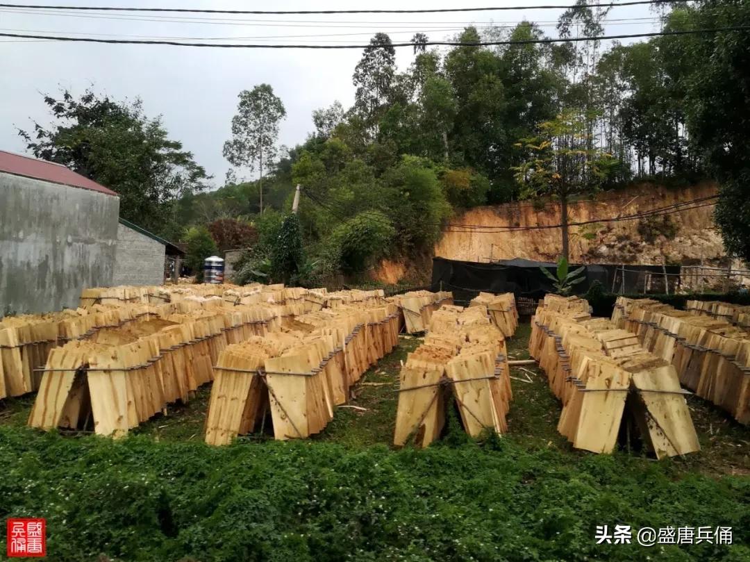 近邻▏车行谅山-河内，看中越两国发展差距