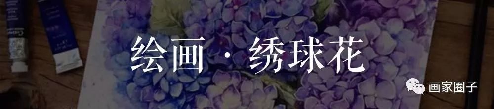 100种漂亮花卉图片,100张漂亮花图