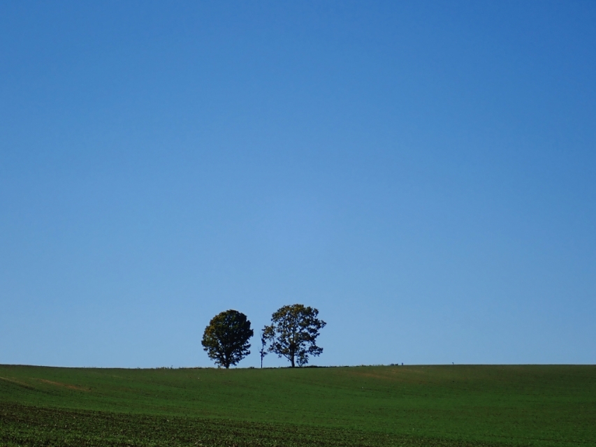 日本从南到北旅游路线,从南游到北