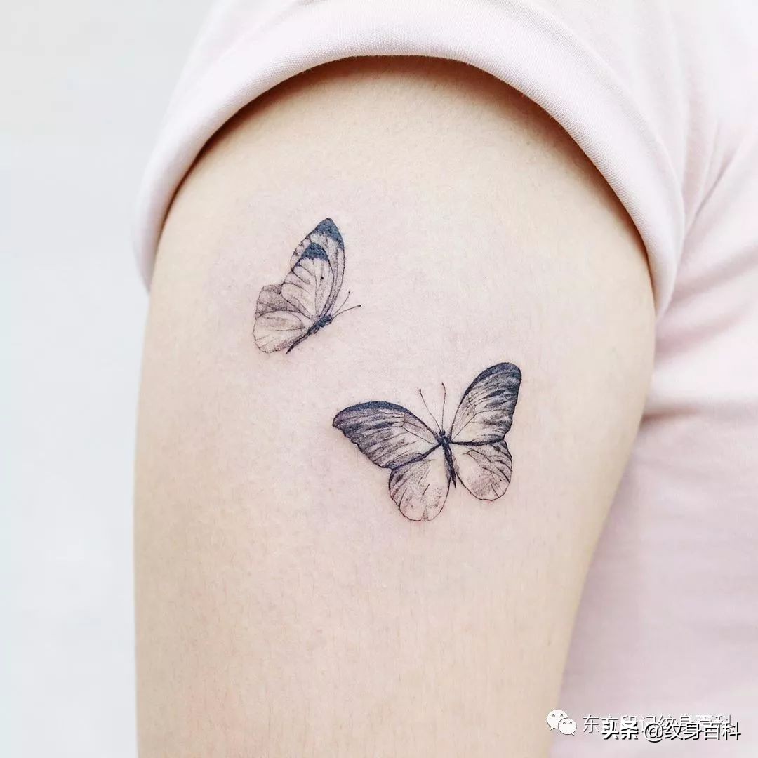 蝴蝶纹身图案代表什么,代表自由的蝴蝶纹身