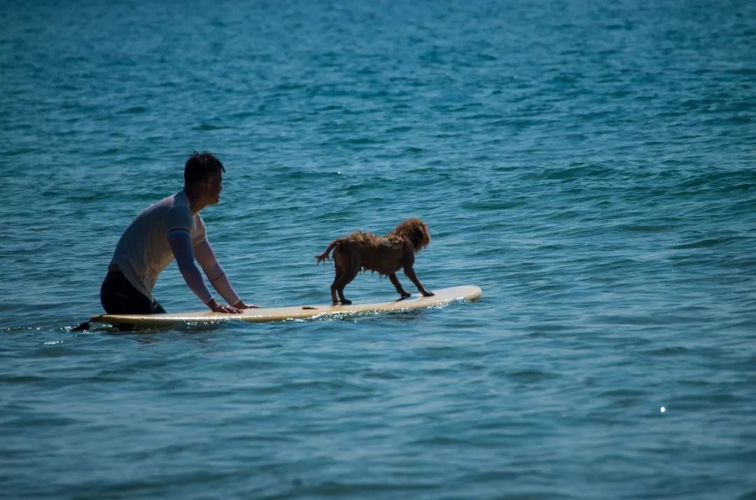 如果你热爱大海,如果你热爱生活那么请热爱大海