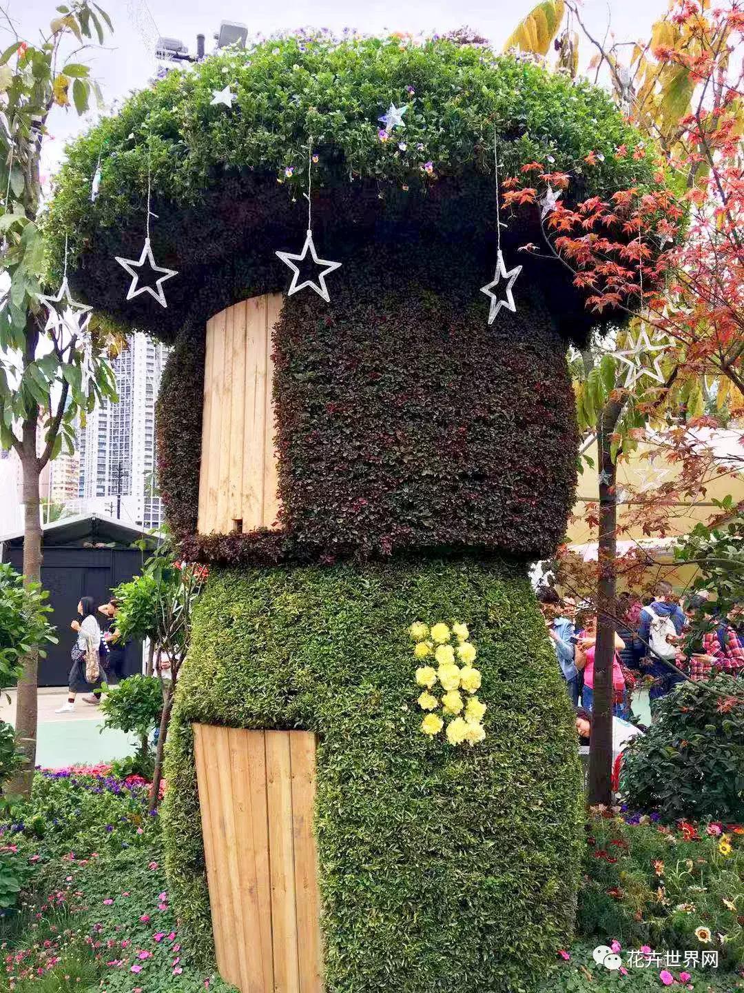 香港花卉艺术展,共赴盛会活动