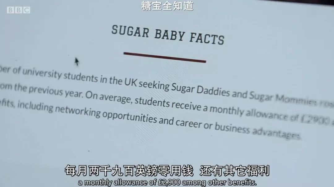 五十万大学生抢着求*养包**？这部英国BBC纪录片拍出了社会现实