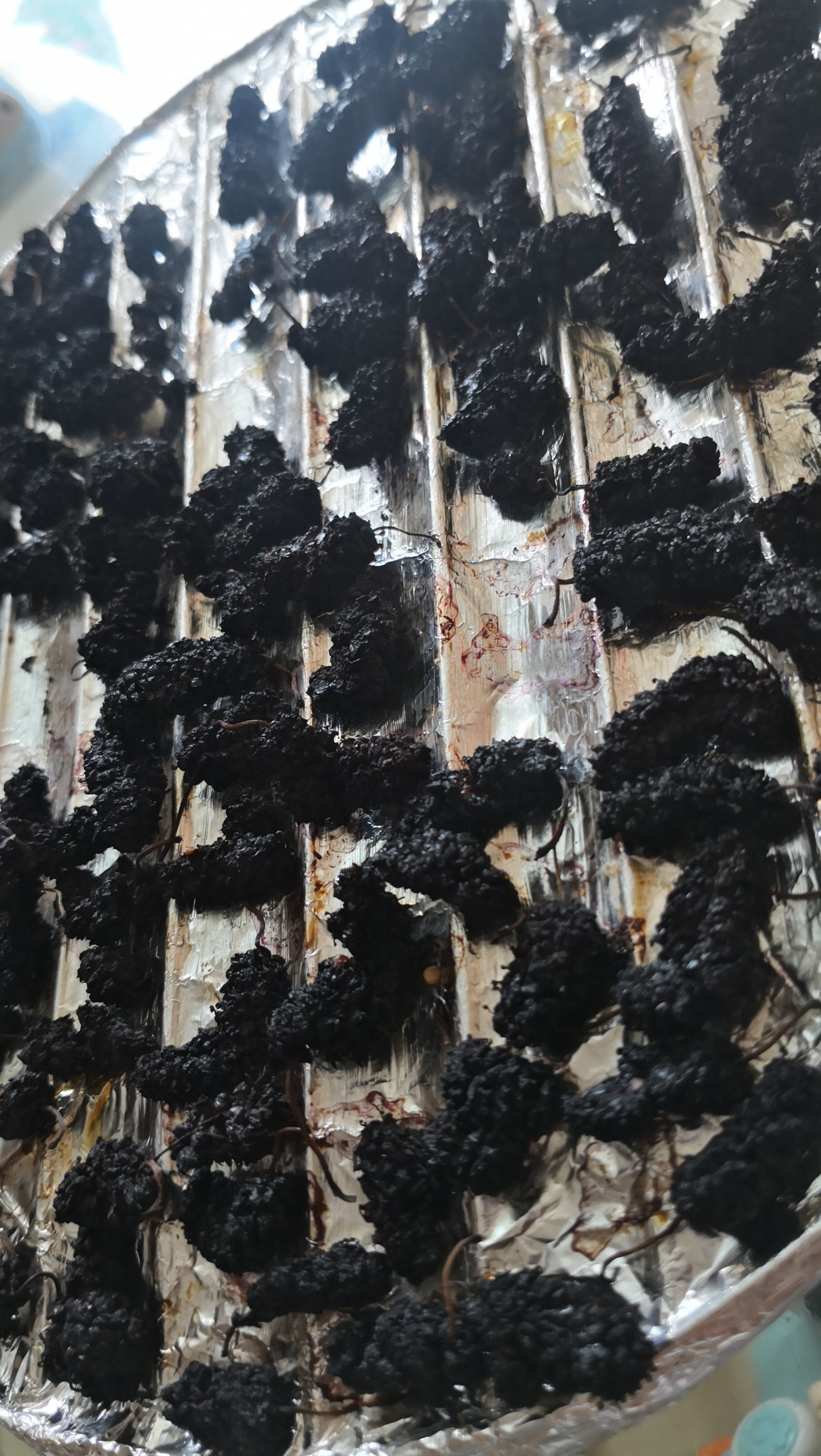 桑葚枸杞酒五味子的正确泡法,桑葚泡酒的正确流程