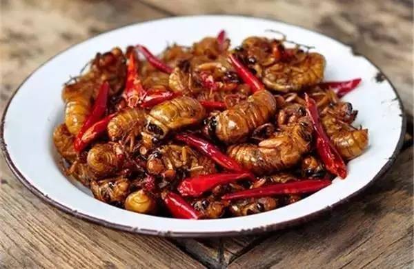 炸着吃的虫子都有啥,昆虫的寄生虫能吃吗