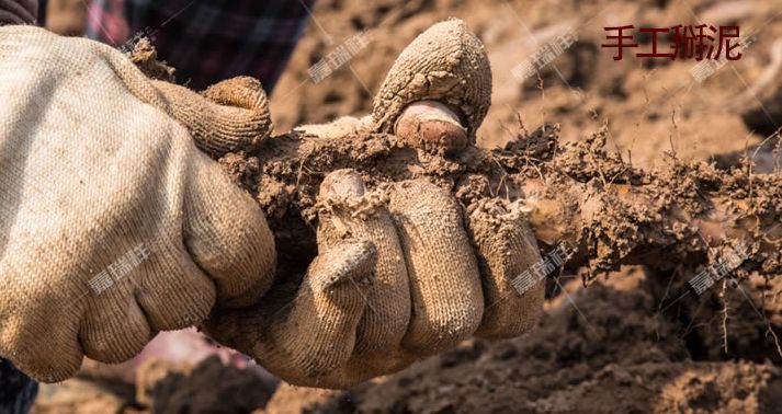 垆土铁棍山药乃山药之王,垆土山药和铁棍山药有什么区别