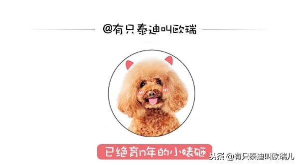 夜行馆动物重出「江湖」超萌「无脸男」准备与大家见面啰！