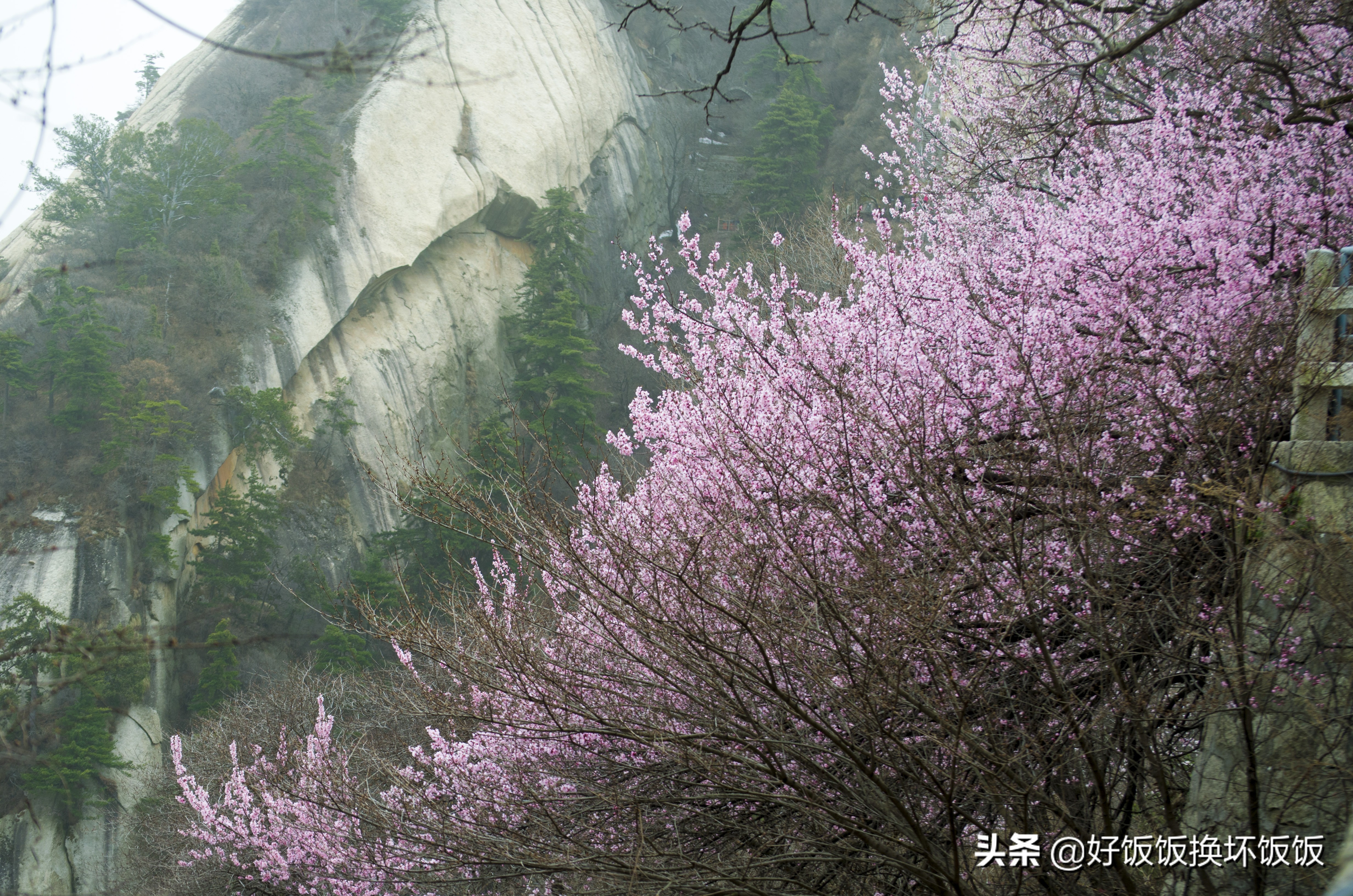 华山站到华山北峰怎么走,华山西峰到华山北峰山路怎样