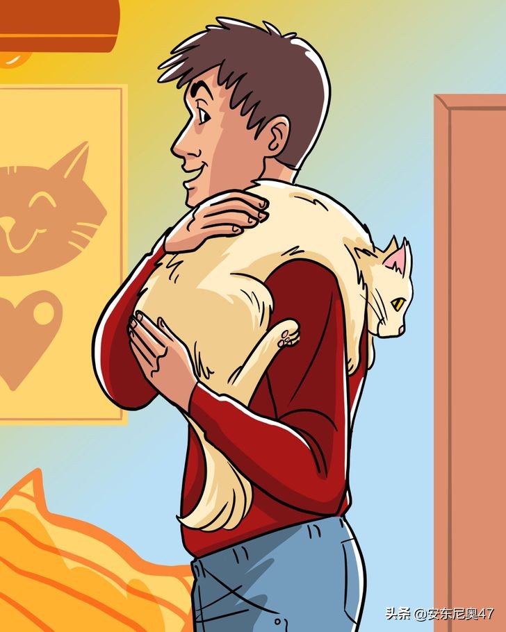 猫咪最喜欢被抱的姿势是怎样的,猫咪最喜欢的抱法