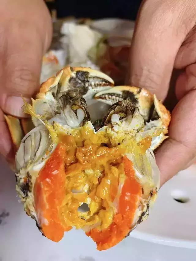 长春吃海鲜,长春最好吃的海鲜自助