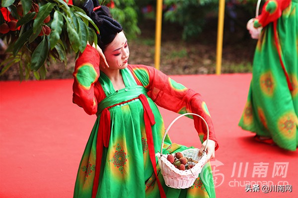 又是一年荔枝红全诗,又是一年一度荔枝成熟的季节