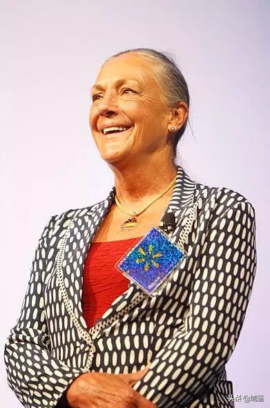 年度收藏家十大富豪,全球华人前十位的收藏家排名