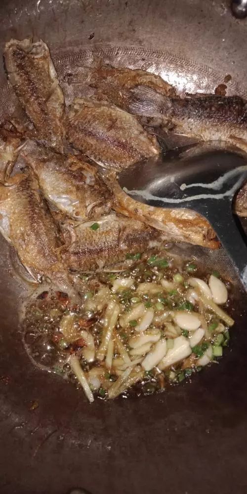 本汀财神鲫竿,本汀财神鲫完整版