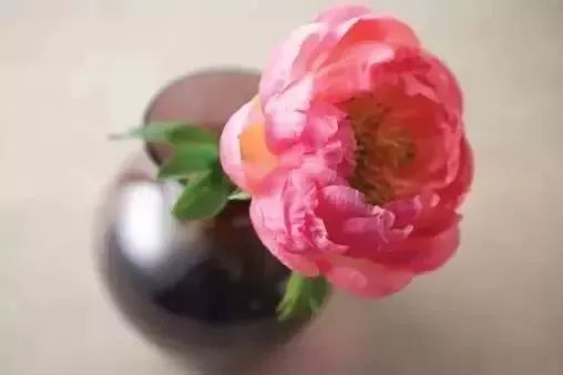 买回来的一束花如何插花,下班路上买一束花然后试着插花