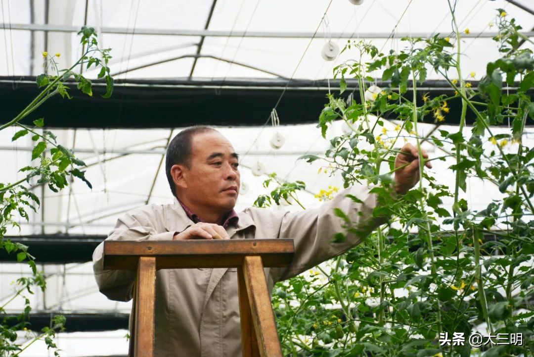 大田：总投资7.13亿！22个民生项目！每个都与你有关！