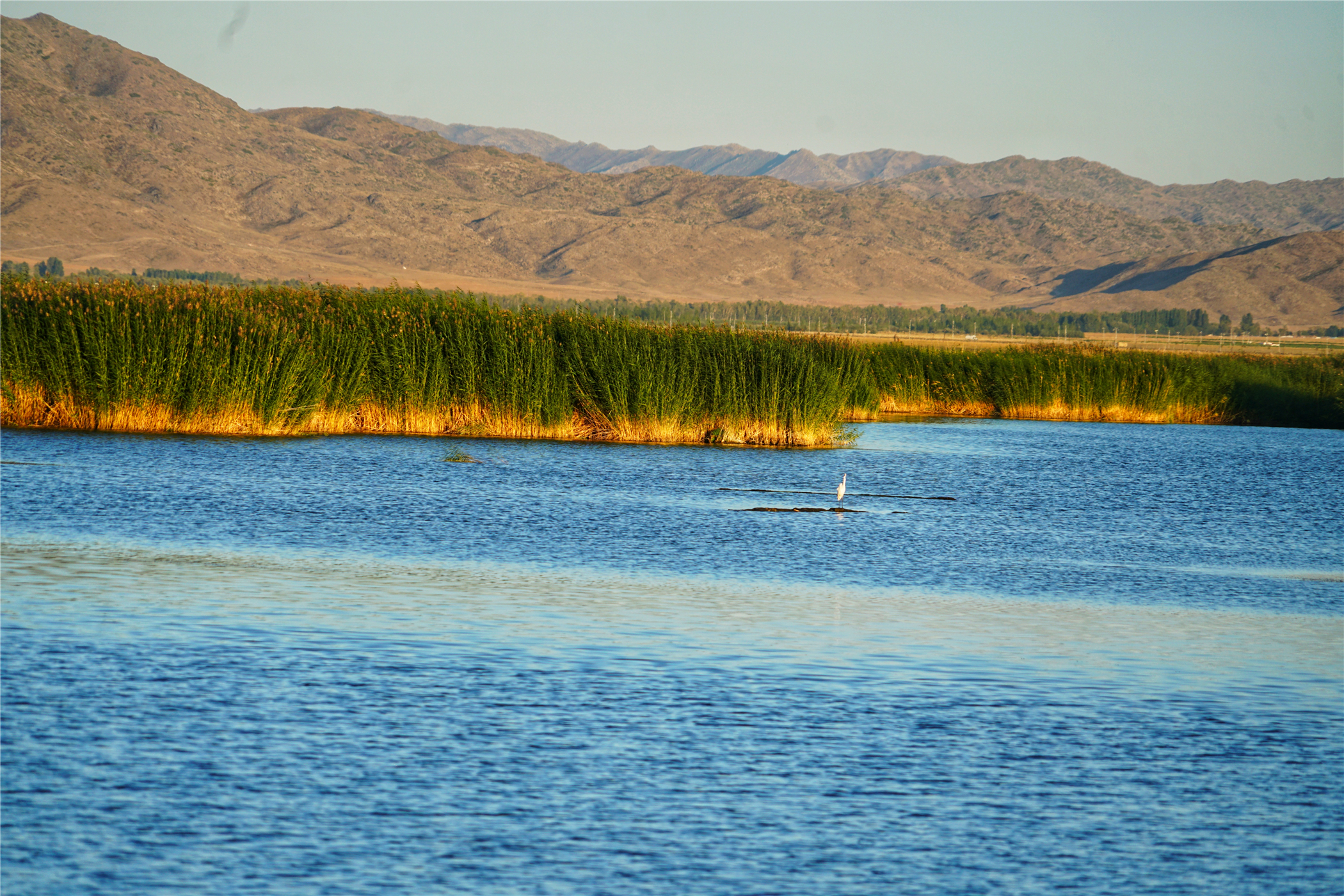 7月新疆可可托海,冬天去可可托海有什么值得看