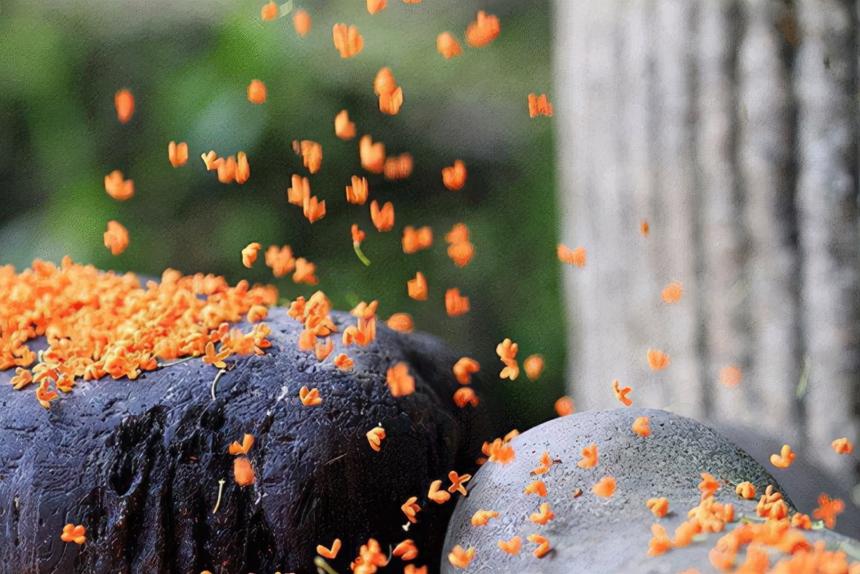 金桂香洒长沙“全洲医械云仓汇”