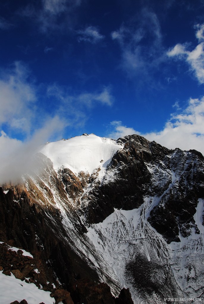 狼c调简谱教唱,狼c